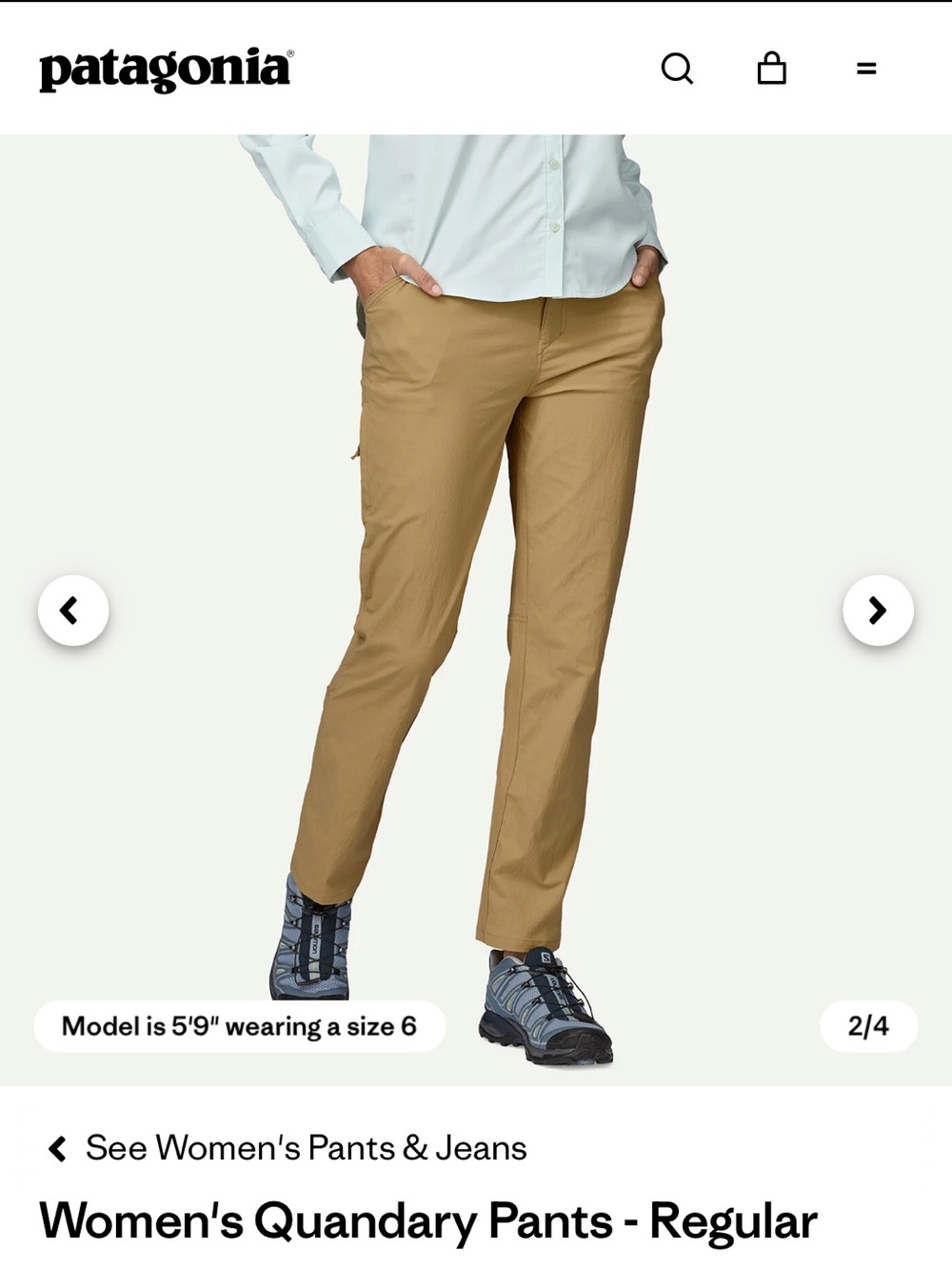 Patagonia Quandary Pants